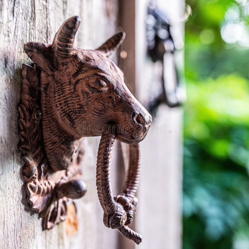 https://thumbs.dreamstime.com/b/shallow-focus-shot-bull-door-knocker-blur-background-261667388.jpg