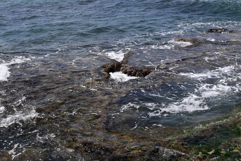 Shallow water color royalty free stock photo