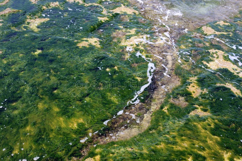 Shallow water color stock image