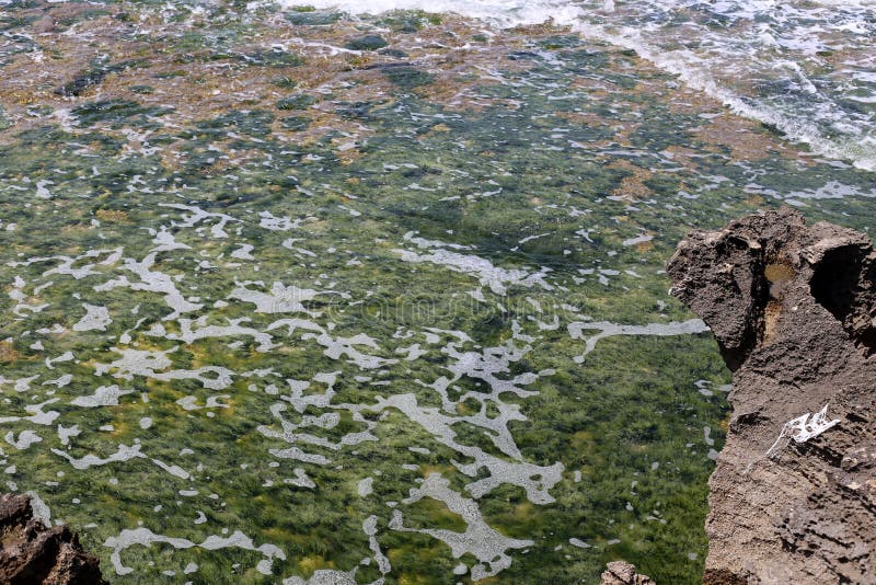 Shallow water color stock photography