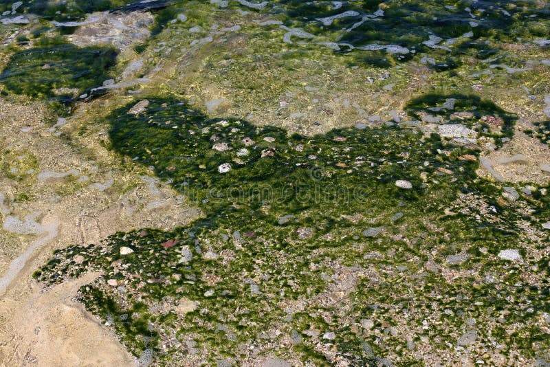 Shallow water color royalty free stock photos