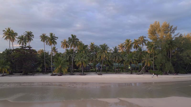 Shallow water waves on the beach palm trees. Nice aerial top view flight drone