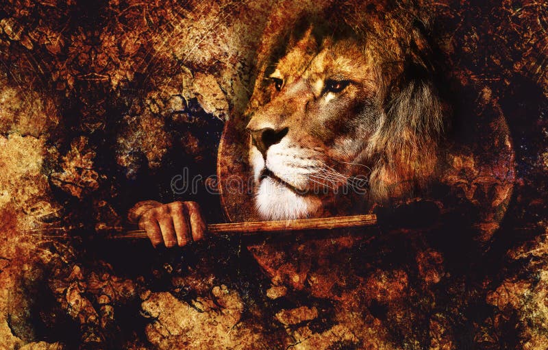 Lion And Symmetric Tribals Stock Photo, Picture and Royalty Free Image.  Image 14096850.