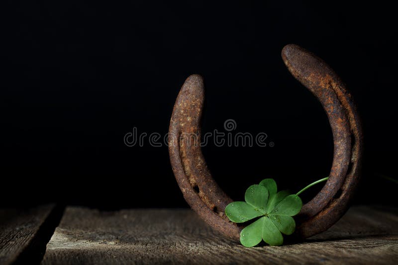 A four leaf clover shamrock laying across old rusty horseshoe both symbols for good luck. A four leaf clover shamrock laying across old rusty horseshoe both symbols for good luck.