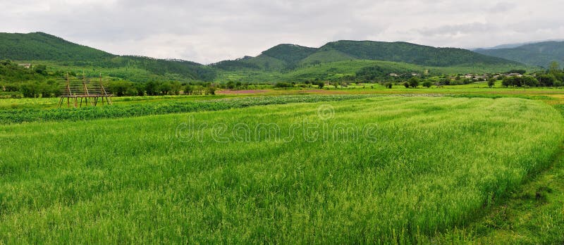 Shangri-La Ranch scenery