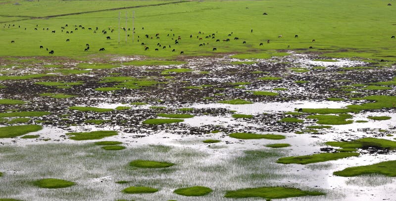 Shangri-La Ranch scenery