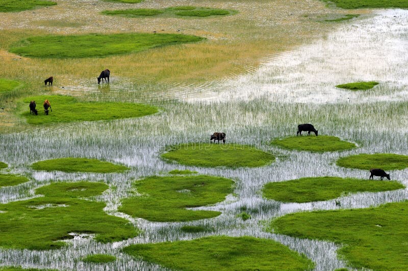 Shangri-La Ranch scenery