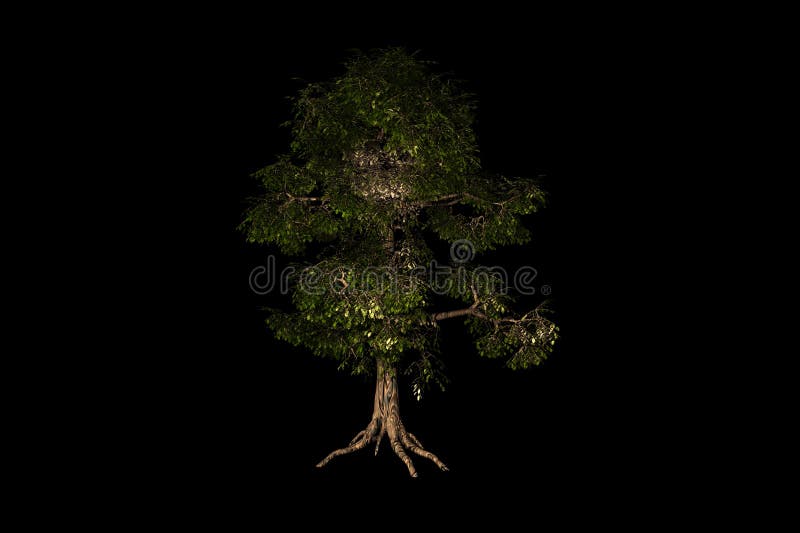 Shape Maple Tree Black Background 3d Rendering Stock Illustration