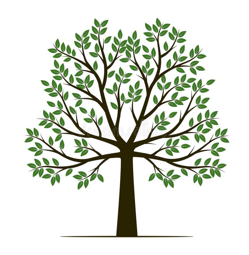 Tree Outline Stock Illustrations – 219,024 Tree Outline Stock