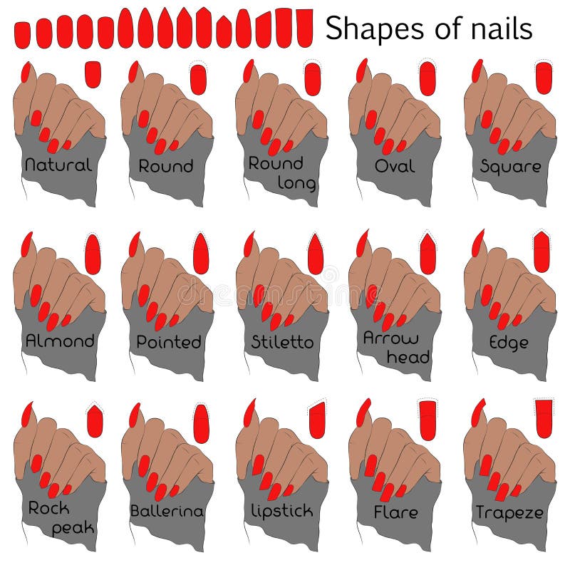 Shapes of nails. Color illustration for professional manicure with names of shapes.