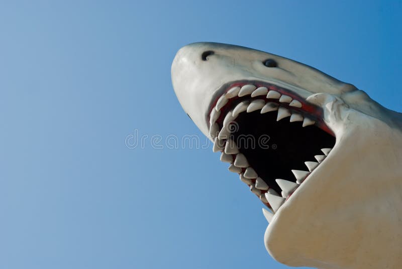 Shark Bite Stock Photos Download 560 Royalty Free Photos