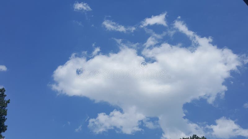 on cloud shark