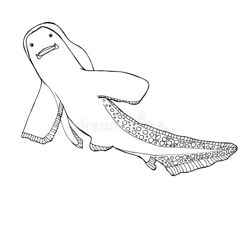 Shark Drawings Stock Illustrations 125 Shark Drawings Stock