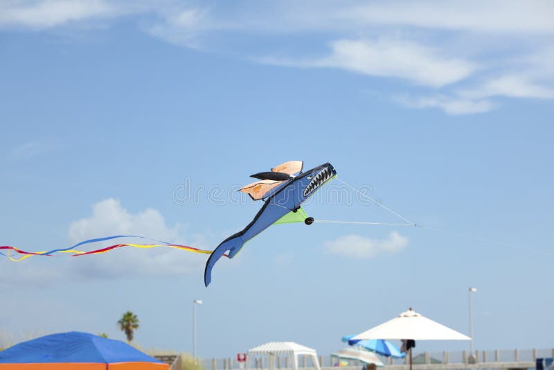 Shark kite at the beach stock image. Image of outdoors 14885005
