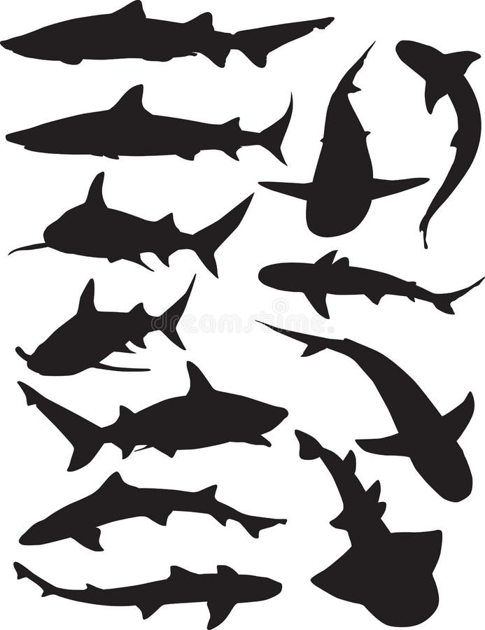 Download Shark Silhouettes stock vector. Illustration of vector ...