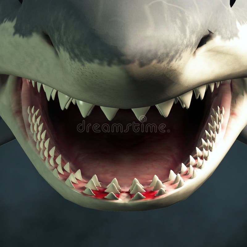 Free Free 104 Shark Teeth Smile Svg SVG PNG EPS DXF File