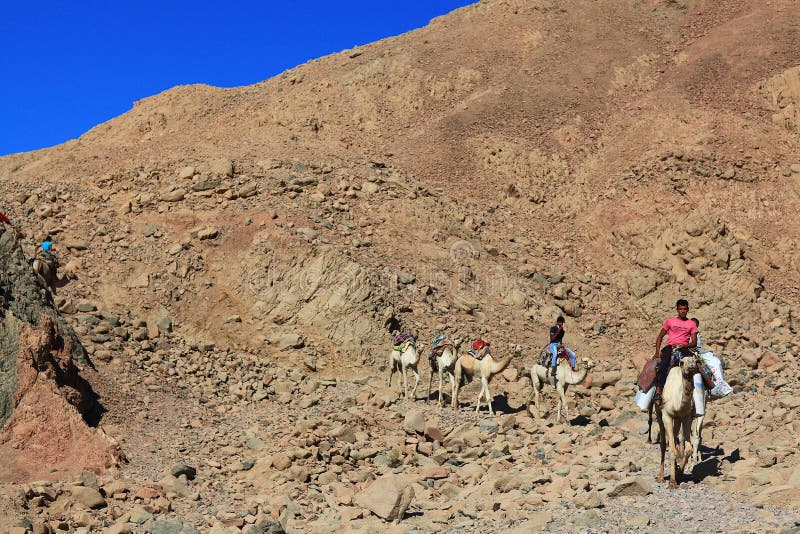 Sharm El Sheikh, EGYPT – JUNE 15: escalators caravan of camels in the mountains of Sinai Blue Hall on JUNE 15, 2015 royalty free stock photography Sharm El Sheikh, EGYPT – JUNE 15: escalators caravan of camels in the mountains of Sinai Blue Hall on JUNE 15, 2015 royalty free stock photography