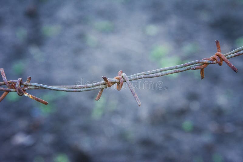 Sharp Ancient Rusty Barbed Wire. Abstract background royalty free stock image