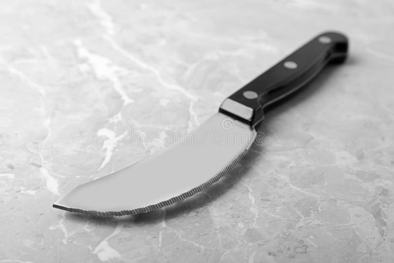 Sharp Pizza Knife with Plastic Handle Stock Image Image of blade, shiny 149723413