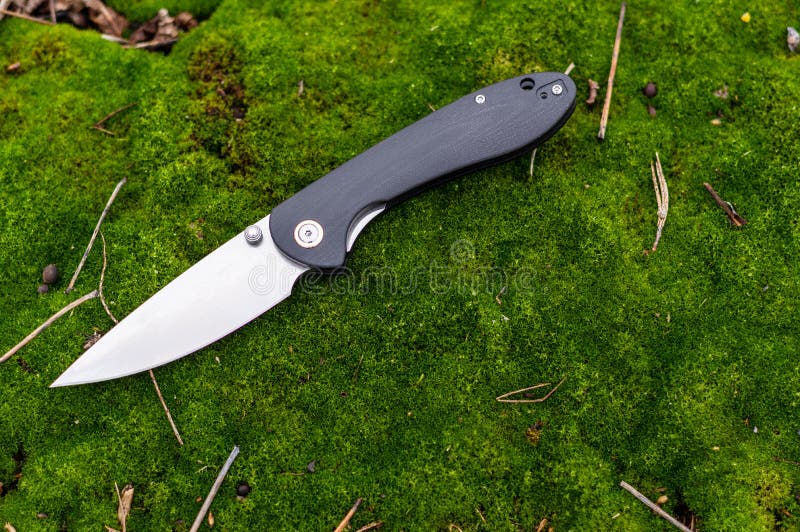 A Sharp Pocket Knife Lying on the Moss. Knife with a Black Handle Stock