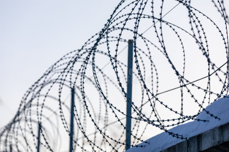 Sharp pointed razor wire barbed fence coiled on top of wall protects from prisoners and criminals in prison and from