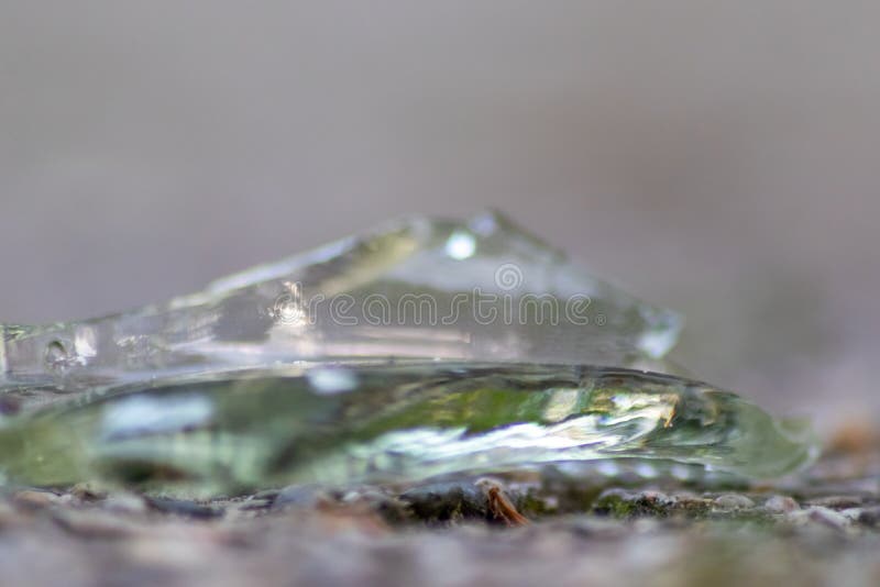 Sharp Shards of a Broken Glass Bottle on the Ground with Sharp Blades
