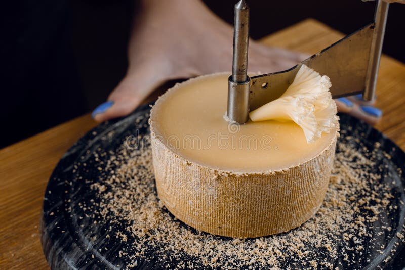 Shaving Tete De Moine Cheese Using Girolle Knife. Monks Head Stock Image -  Image of mold, girolle: 216584533