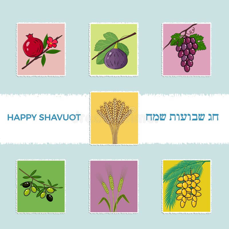 Shavuot ?ydowska wakacyjna greating karta, sztandar z siedem tradycyjnymi gatunkami Szcz??liwy Shavuot w hebrajszczy?nie ilustracji Shavuot ?ydowska wakacyjna greating karta, sztandar z siedem tradycyjnymi gatunkami Szcz??liwy Shavuot w hebrajszczy?nie ilustracji