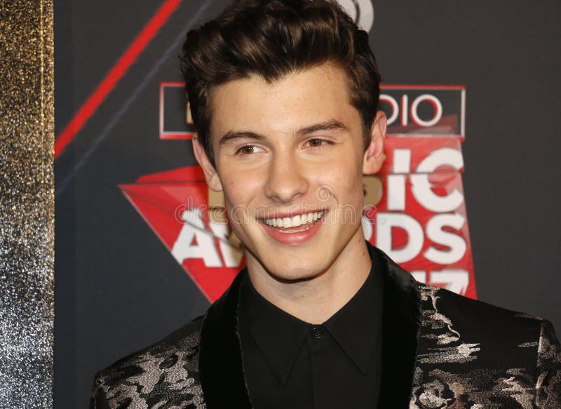 Shawn Mendes at the 2017 iHeartRadio Music Awards held at the Forum in Inglewood, USA on March 5, 2017.