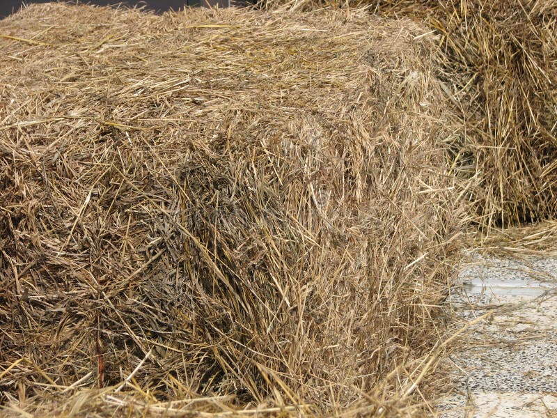 Sheaf of straw stock image. Image of bundle, plank, dried - 28058595