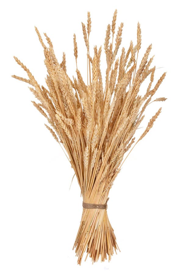 Sheaf of wheat