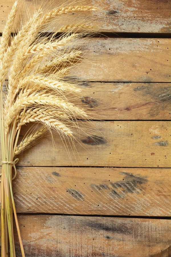 Sheaf of Wheat over Wooden table