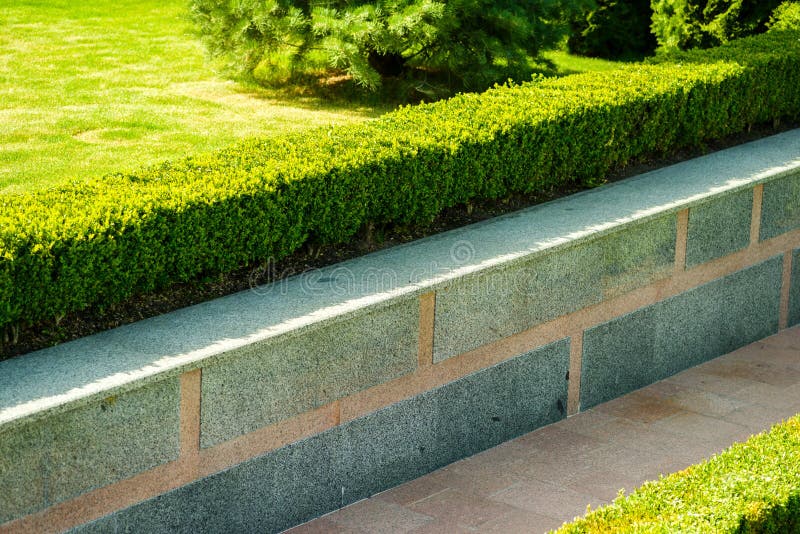 Bushes in landscape design stock image. Image of botany 131543789