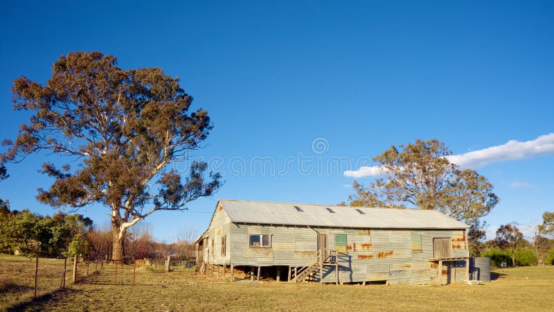 Shearing sheep in rural Australia stock photography