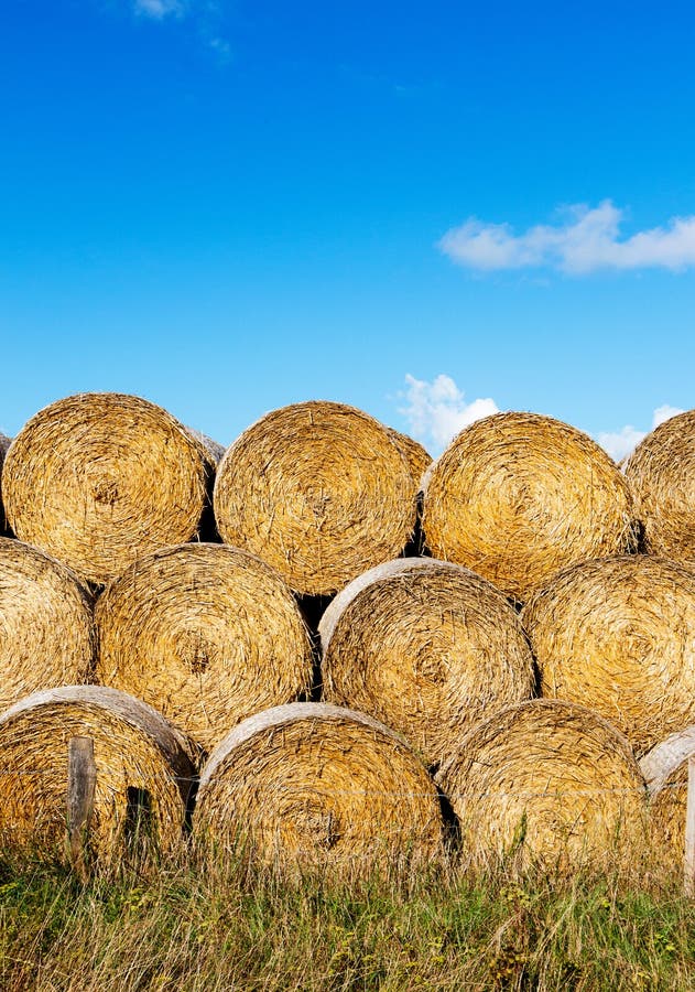 Sheaves Hay Field Sunshine Stock Photos Free & RoyaltyFree Stock