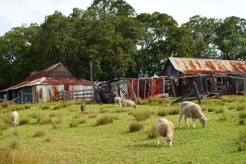 740 Farm Australia - Free & Royalty-Free Stock Photos from Dreamstime