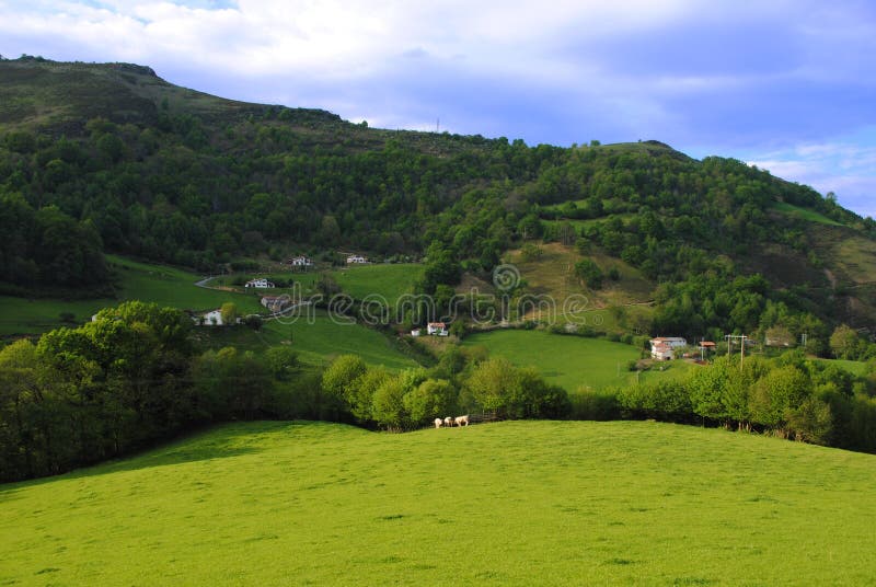 Sheep farming in the Pyrenees