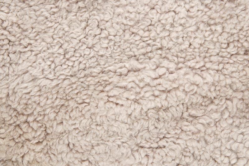 Sheep fur background. stock image. Image of nature, warm - 95469465