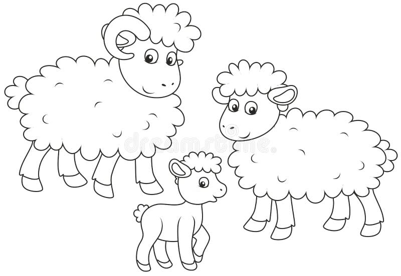 Sheep, lamb and ram stock vector. Illustration of baby - 107376807 Sheep, lamb and ram stock vector. Illustration of baby - 107376807