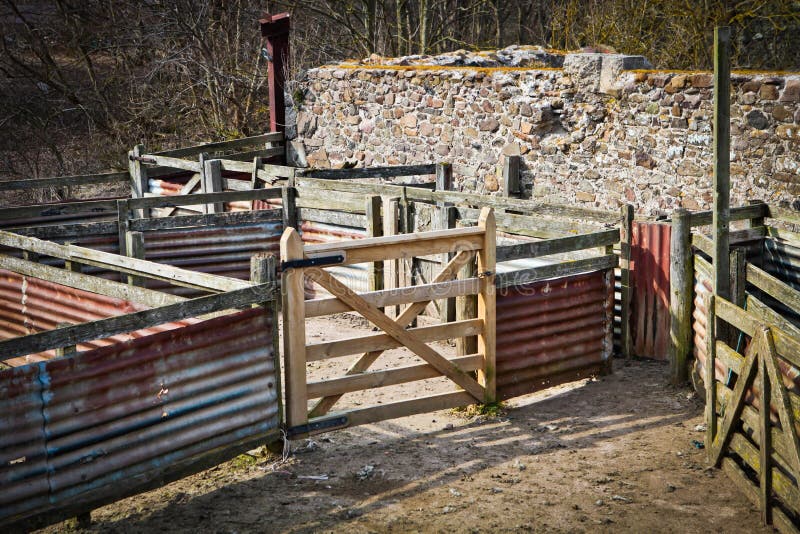 Sheep pen stock image. Image of wooden, clearing, rustic 31832477