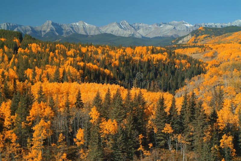 Sheep River valley, Alberta