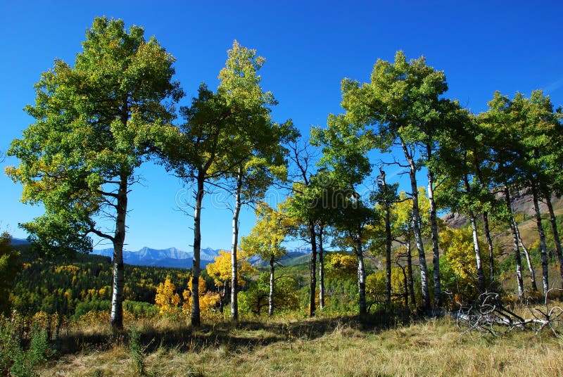 Sheep River Valley in Autumn