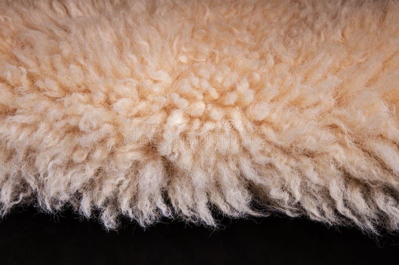 Sheep`s Wool. Sheep Wool Texture Lamb Background Stock Image Image of