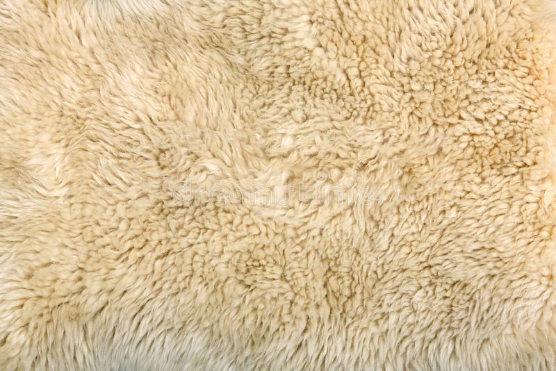 Sheepskin Background stock photo. Image of softness, pure 39700016