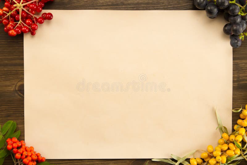 Sheet old vintage paper with different berries on aged wooden background. Healthy vegetarian food.