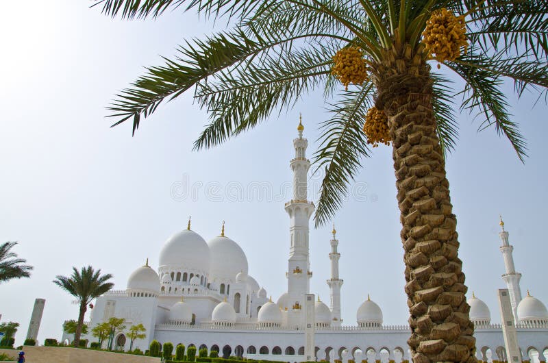 Sheikh Zayed Mosque in Abu Dhabi City