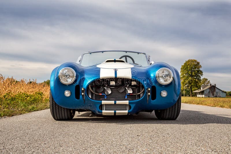 Shelby Cobra 1965 CSX fotos de archivo libres de regalías Shelby Cobra 1965 CSX fotos de archivo libres de regalías
