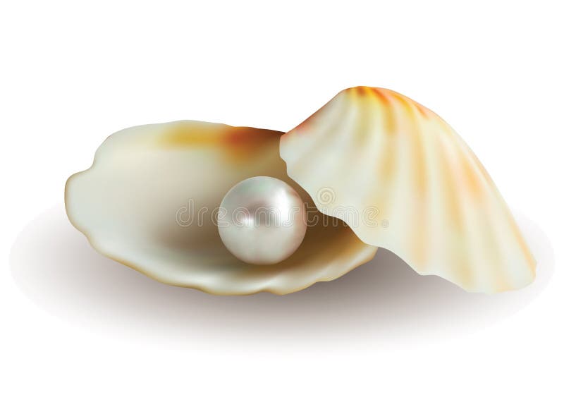 Shell stock illustration