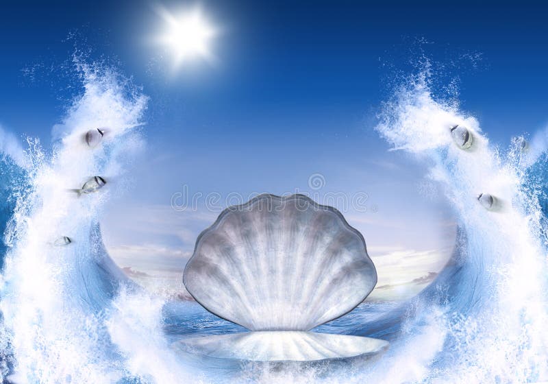 Shell for Aphrodite vector illustration