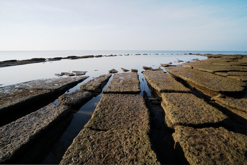 Cemitério de Conchas Fósseis fotos de stock